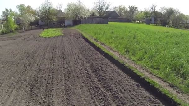 Vlucht ronde een bloeiende boom. Luchtfoto — Stockvideo