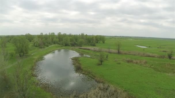 Small lake in the field. Aerial — Stock Video