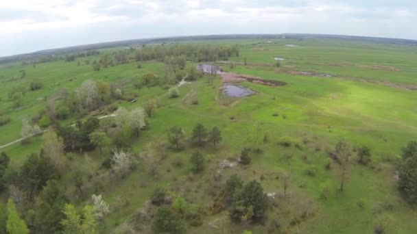 Gröna fält och sjön under våren. Aerial landskap — Stockvideo