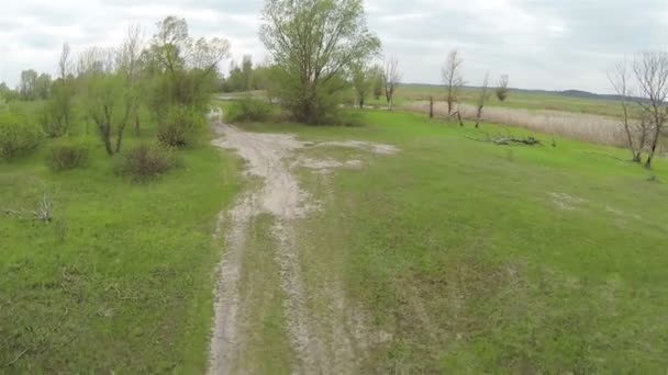 Campo verde y lago en primavera. Antena — Vídeos de Stock