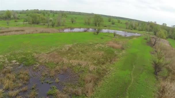 Campo verde con árboles y lago en primavera. Paisaje aéreo — Vídeos de Stock