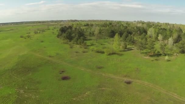 Belo voo de primavera sobre o prado com árvores. Aviação — Vídeo de Stock