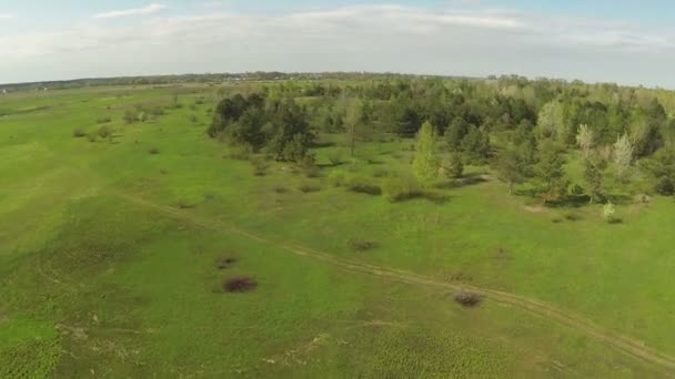 Prachtige lente vlucht over weide met bomen. Luchtfoto — Stockvideo