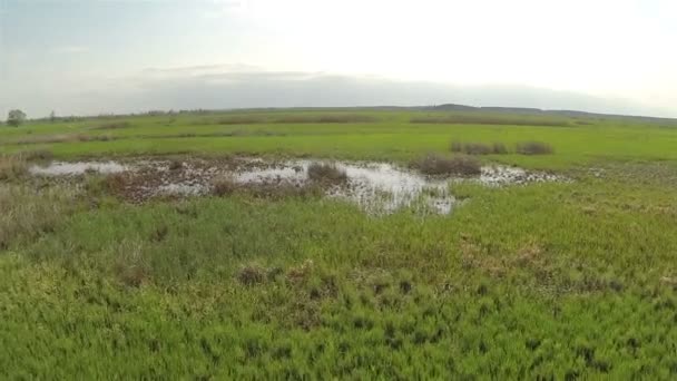 Vlucht over Lente weide en meer. Luchtfoto — Stockvideo