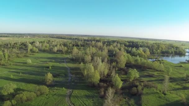 Vackra flyga över morgon fältet och trä. Antenn — Stockvideo