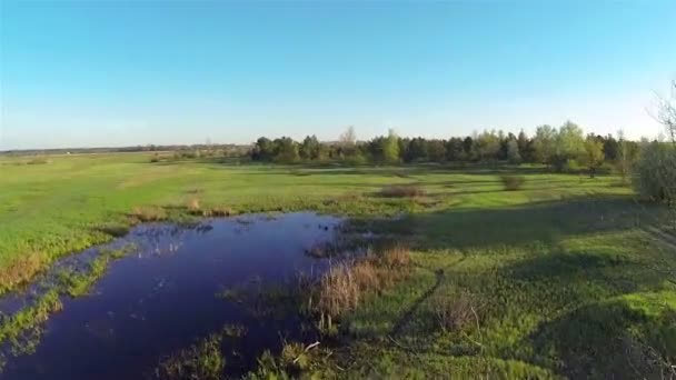 Hermosa 55 segundos volar sobre el campo de la mañana y la madera. Antena — Vídeo de stock