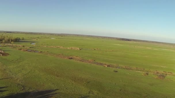 フィールド、木、湖の朝の風景です。空中 — ストック動画