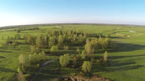 Vuelo sobre madera y campo. Cámara bajando. Antena — Vídeo de stock