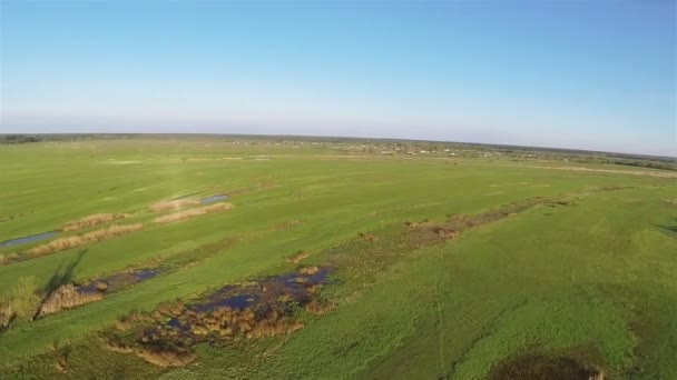 Panorama över vackra fält med ljusa gräs i morgon. Antenn — Stockvideo