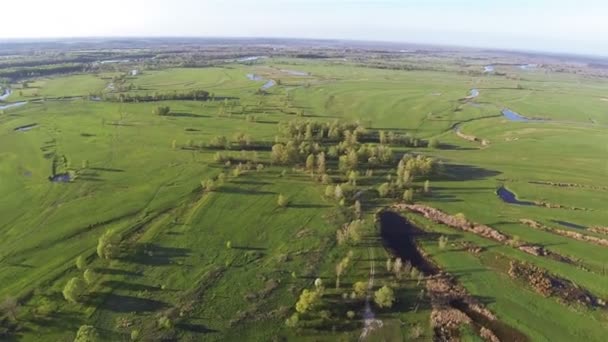 Volo mattutino sul campo con lago. Panorama aereo — Video Stock