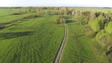 Ülke yolda ağaçları ile yeşil alan. Hava