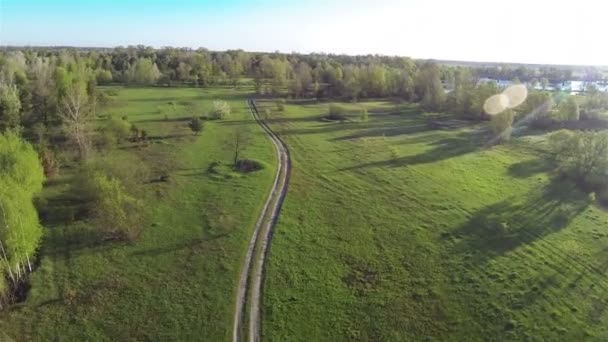 Country road on  green field with trees. Aerial — Stock Video