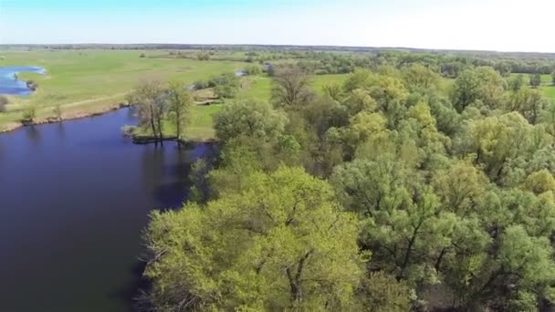 Όμορφο κατά την πτήση πάνω από το ποτάμι και ξύλο εναέρια άνοιξη — Αρχείο Βίντεο
