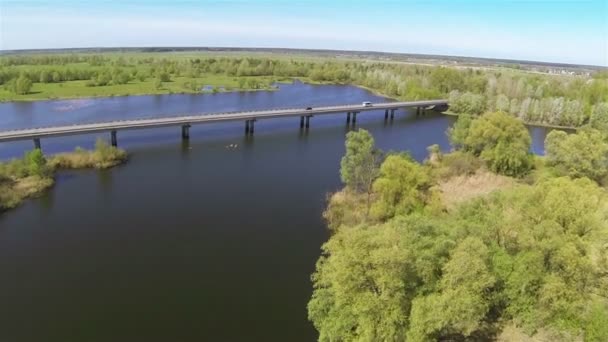 Beautiful   flight over  river with bridge  and   wood Aerial  spring time — Stock Video