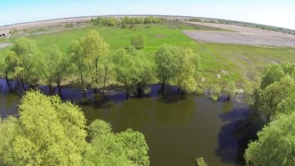 Pequeño lago en el campo. Cámara de visión aérea hacia abajo — Vídeos de Stock