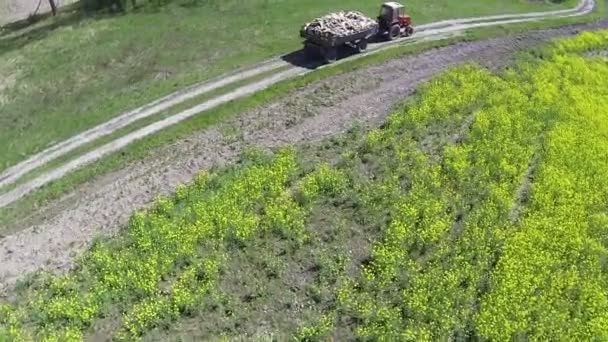 Trator rural com reboque de lenha. Vista aérea — Vídeo de Stock