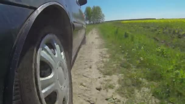 田舎道に車が行く — ストック動画