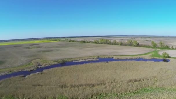 Letu nad polem s řekou a strom. Letecké panorama — Stock video