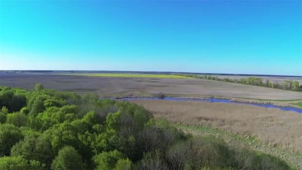 Campos, madera, río y cielo azul. Paisaje aéreo — Vídeos de Stock