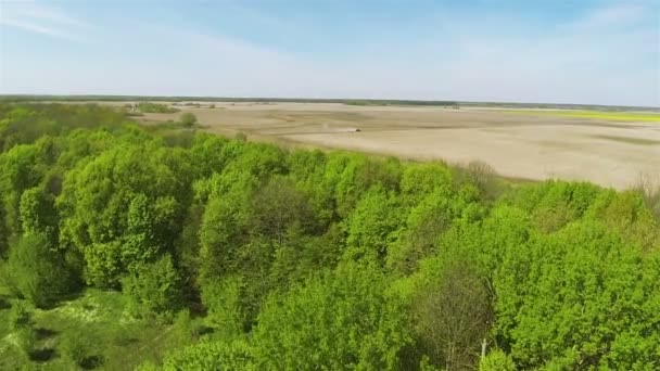 Groen hout en veld. Luchtfoto — Stockvideo