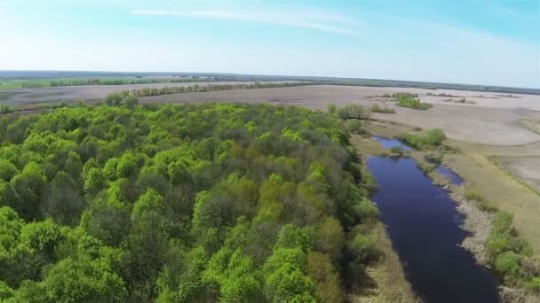 Madera verde y campo con río .Aerial — Vídeos de Stock