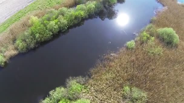 Wonderful river with sun reflection. Aerial  top view — Stock Video