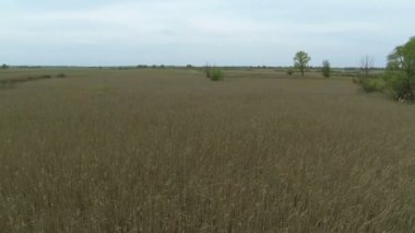 Uçuş kamışı ile fotoğraf makinesi üzerinde açın. Havadan görünümü