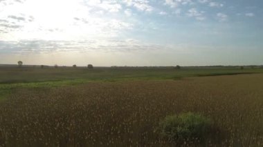 Ahşap ve sabah Nehri üzerinde uçmak. Hava manzara