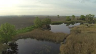 nehir cane ile. Doğa hava sinek manzara