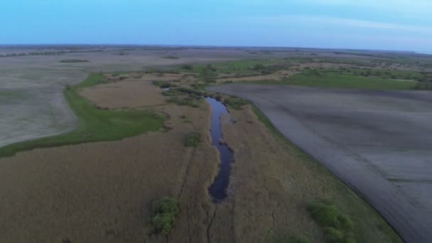 Fiume paesaggio serale con fiume e alberi .Aerial — Video Stock