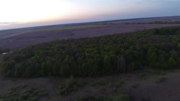 Madera y amanecer .Aerial — Vídeos de Stock