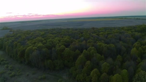 Bosque, río y amanecer rojo. Paisaje panorámico aéreo — Vídeo de stock