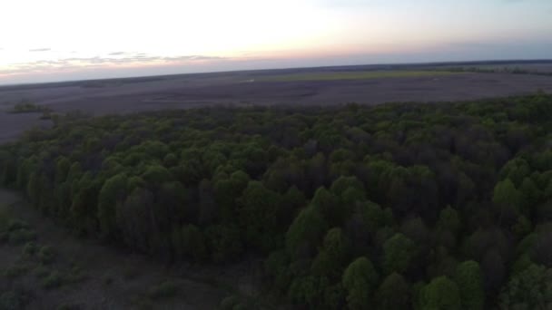 Bosque, río y amanecer rojo. Paisaje panorámico aéreo — Vídeos de Stock