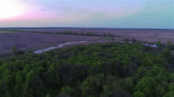 Volar sobre la madera y el río de la mañana. Paisaje aéreo — Vídeos de Stock