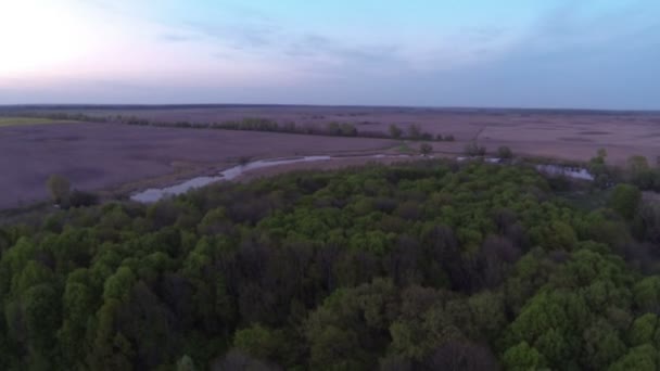 Volar sobre la madera y el río de la mañana. Paisaje aéreo — Vídeos de Stock