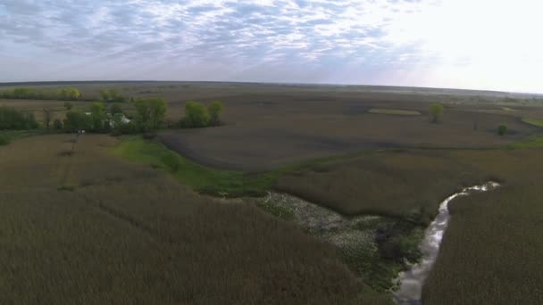 Campos rurales con vigas del cielo. Paisaje aéreo — Vídeos de Stock