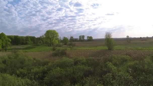 Vliegen over hout en ochtend rivier. Luchtfoto landschap — Stockvideo