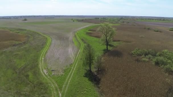 Campos rurales y pantano con caña. Paisaje de primavera aérea — Vídeo de stock