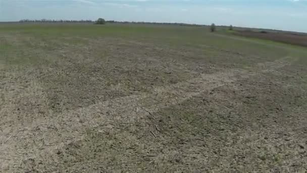 Campo en zonas rurales. Vuelo bajo. Antena — Vídeos de Stock