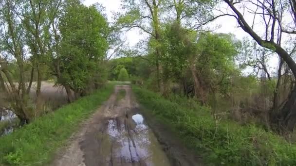 Rural road   and old bridge .Aerial — Stock Video