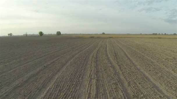 Sobre el campo rural abierto. Antena — Vídeos de Stock