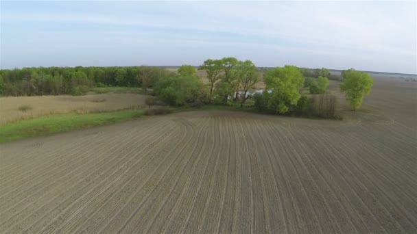 Over the opened rural  field and lake. Aerial — Stock Video
