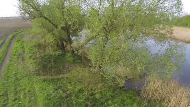 Au-dessus du champ rural ouvert et beau lac. Aérien 