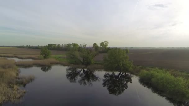 Lago, campos y río con caña. Naturaleza aérea — Vídeos de Stock
