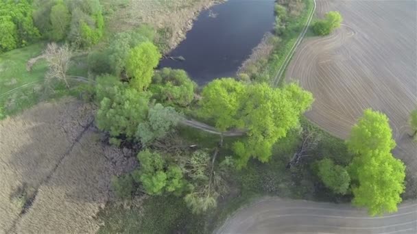 Arado campo e lago com árvores. Vista aérea superior — Vídeo de Stock