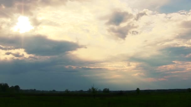 Frühlingshimmel, Wolken und Bäume. Zeitraffer bei Sonnenuntergang. — Stockvideo