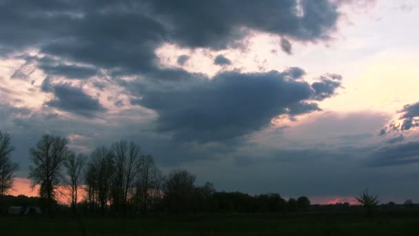 Frühlingshimmel, Wolken und Bäume. Zeitraffer bei Sonnenuntergang. — Stockvideo