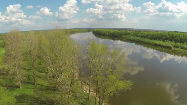 Arbres sur la rive de la belle rivière. Aérien — Video