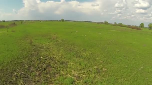 Bajo sobre el terreno. Vuela sobre hierba verde. Antena — Vídeo de stock