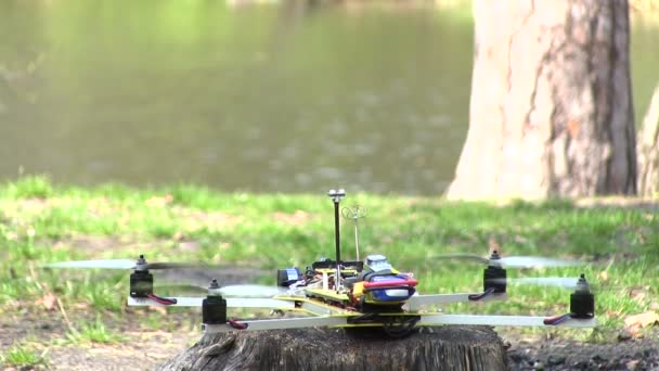 Kleine Copter-Drohne fliegt sanft im Holz — Stockvideo
